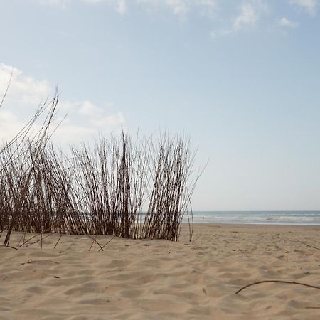 Apartamento Coquina Mrz Rentals Barbate Exterior photo