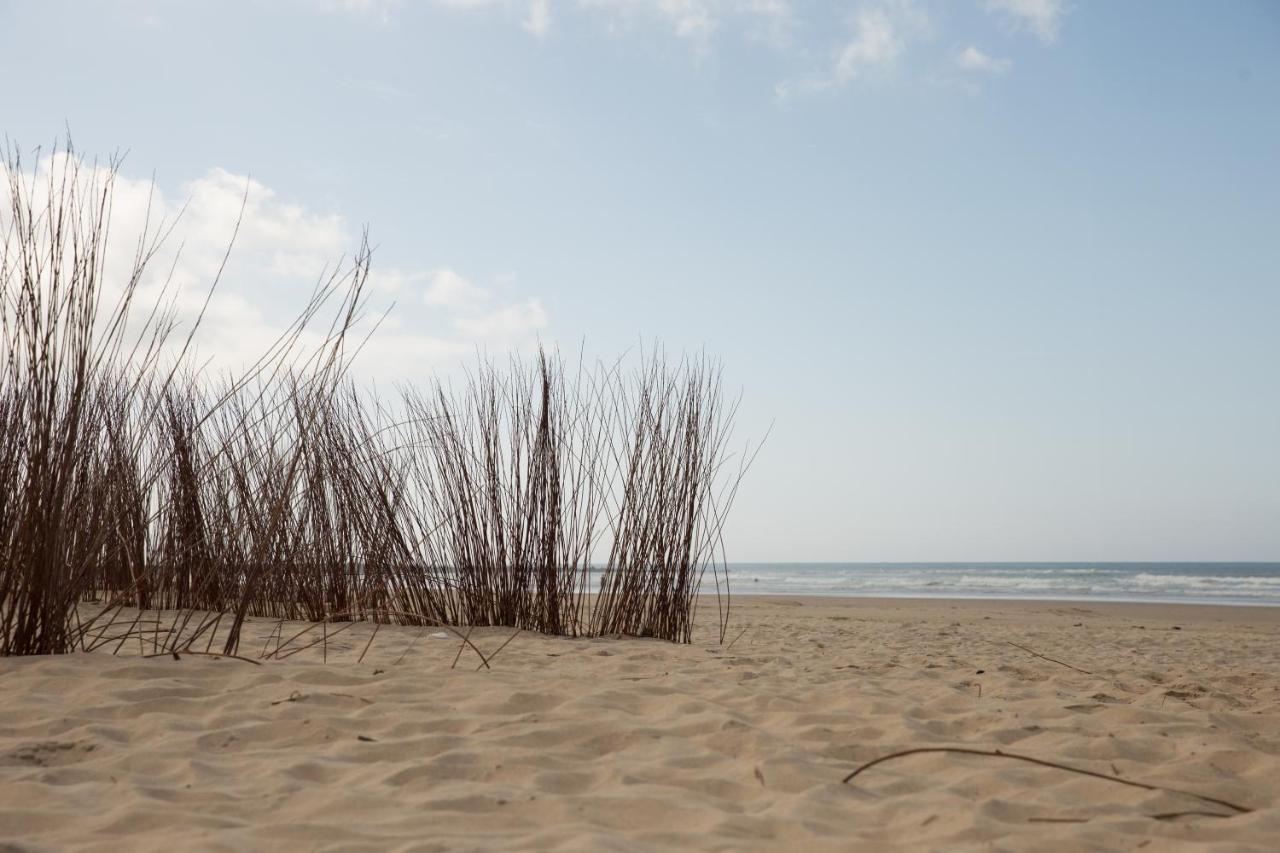 Apartamento Coquina Mrz Rentals Barbate Exterior photo